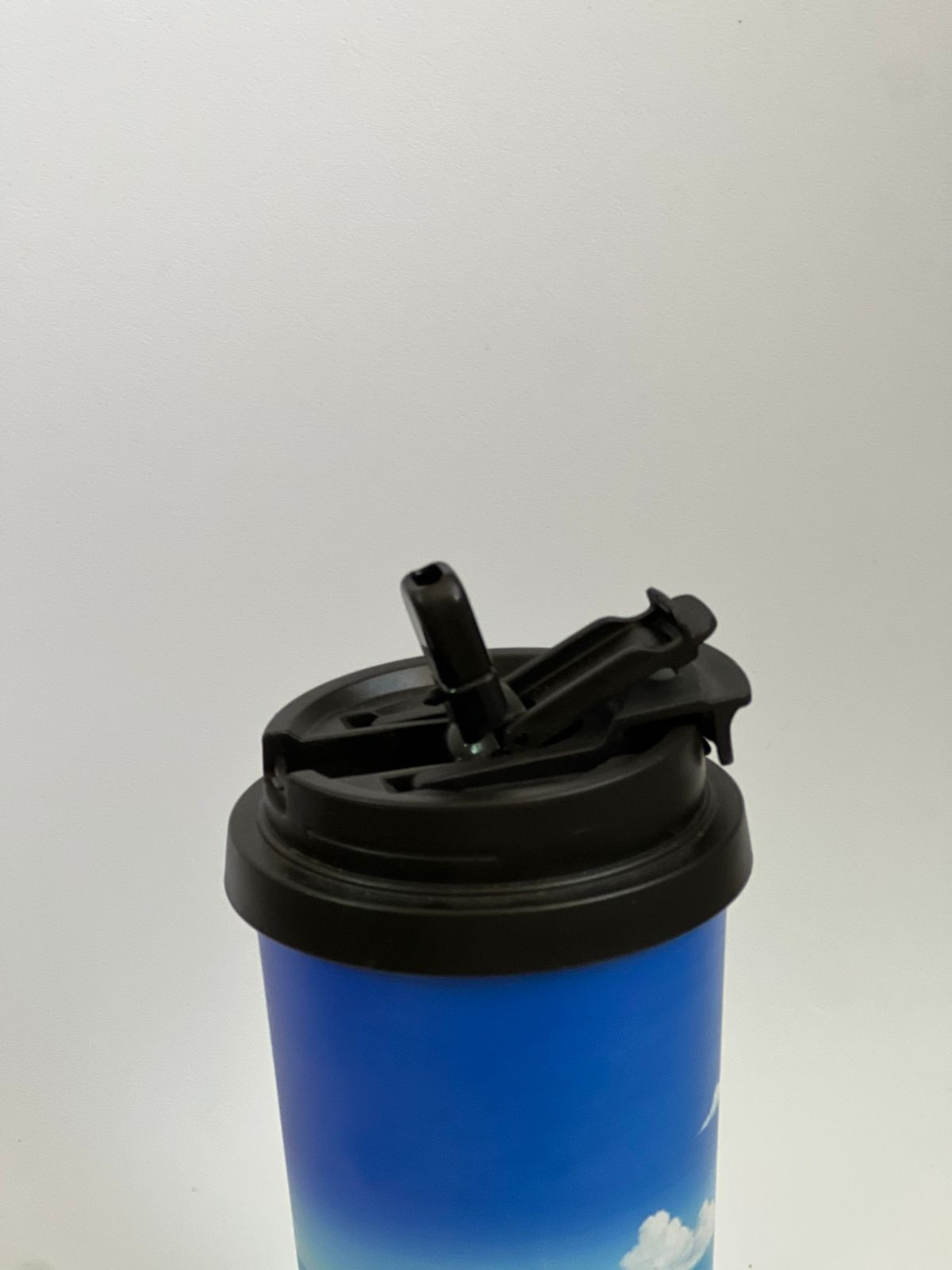One Piece temperature bottle