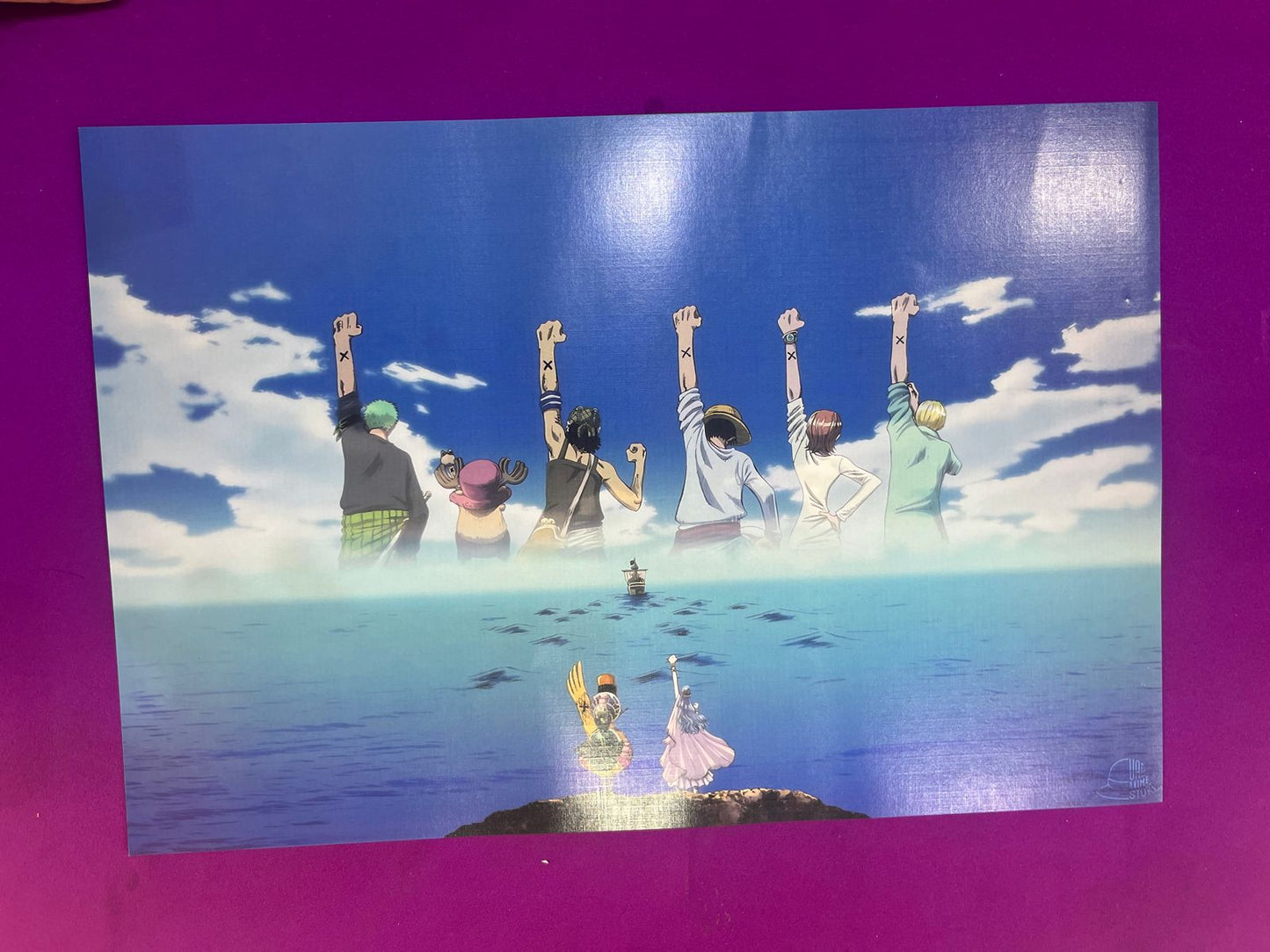 One Piece Poster