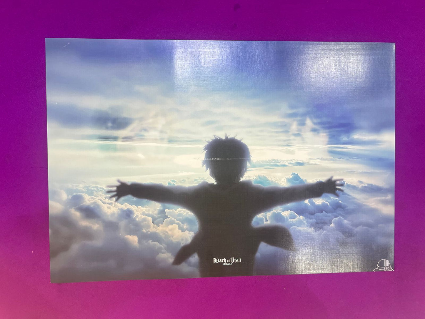 one piece poster