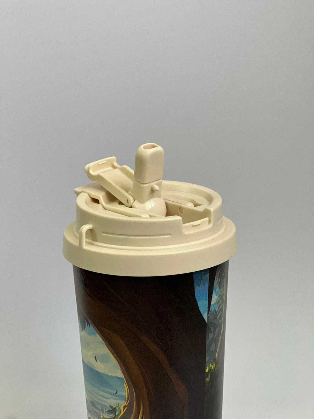 One Piece temperature bottle